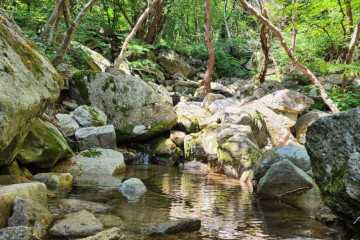 부인사(대구) 여행 추천 - 메고지고
