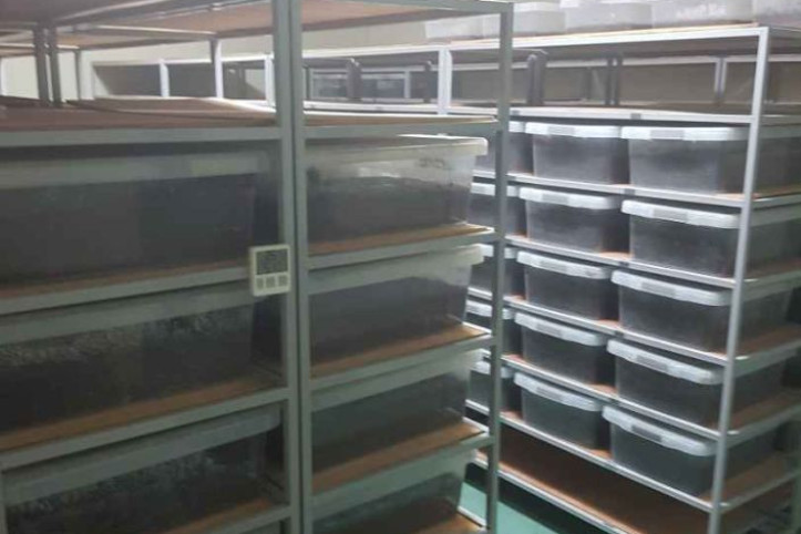 세산곤충체험농장 여행 추천 - 메고지고