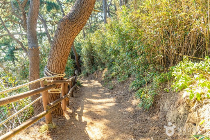 죽변 등대 여행 추천 - 메고지고