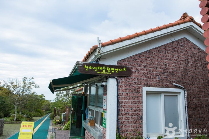 한라생태숲 여행 추천 - 메고지고