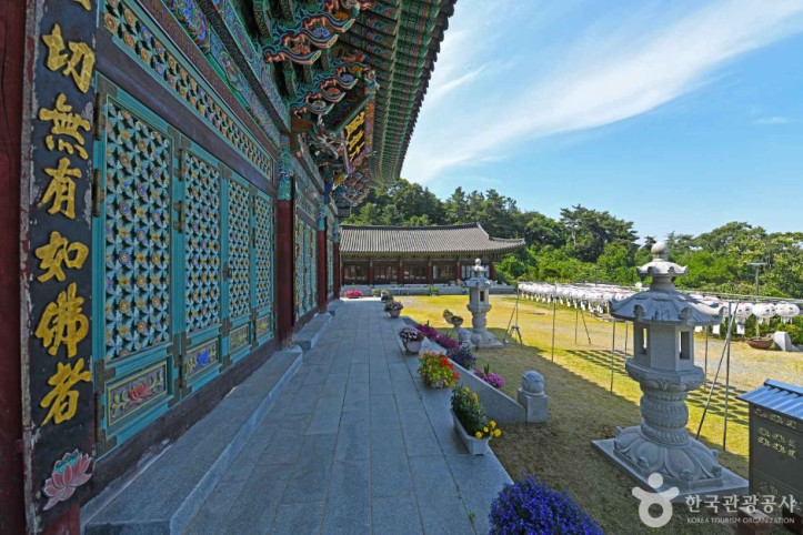 대흥사(진천) 여행 추천 - 메고지고