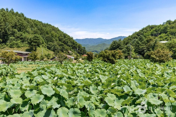 봉화산사 여행 추천 - 메고지고