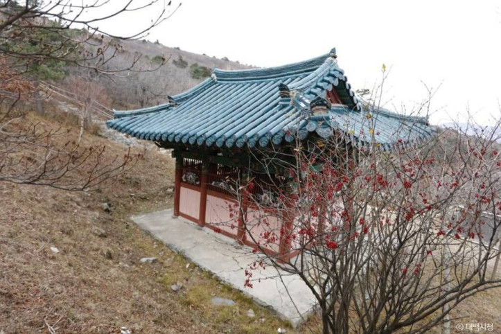 단종대왕비 여행 추천 - 메고지고