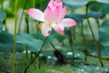 용도수목원 여행 추천 - 메고지고