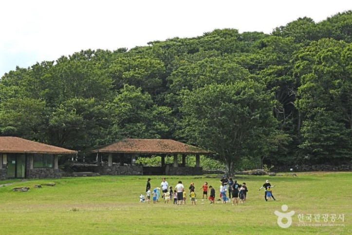 제주 교래자연휴양림 여행 추천 - 메고지고