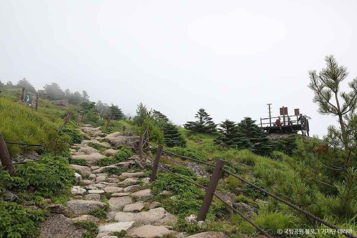 지리산국립공원(함양) 여행 추천 - 메고지고
