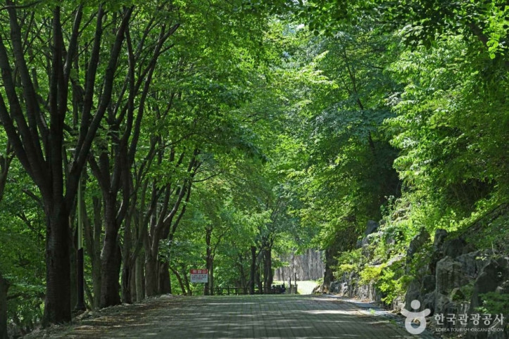 느티골산림욕장 여행 추천 - 메고지고