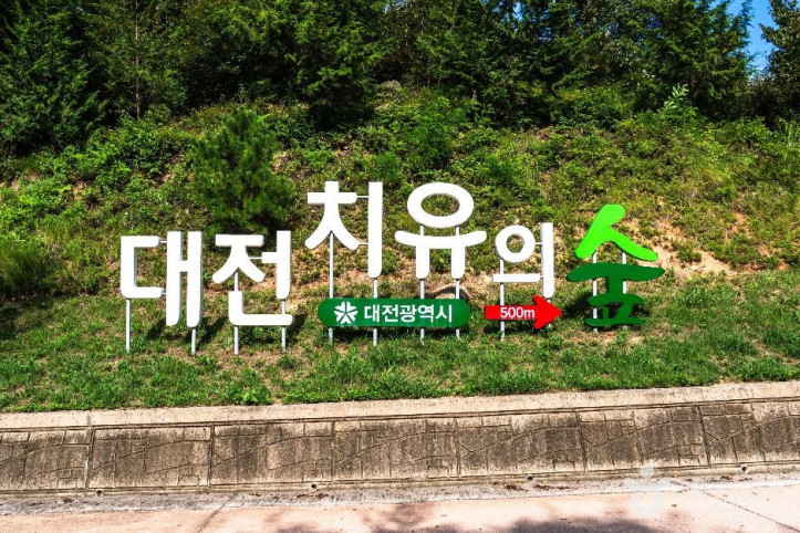 대전 치유의 숲 여행 추천 - 메고지고