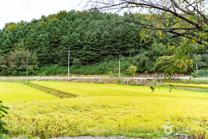 송악 오돌개마을 여행 추천 - 메고지고