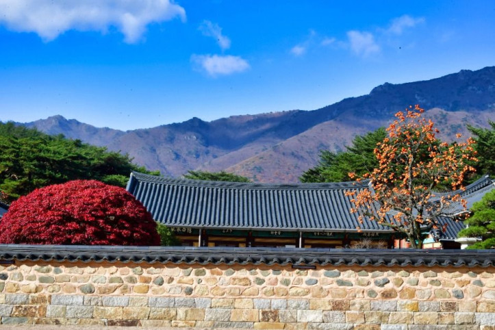 통도사(양산) 여행 추천 - 메고지고