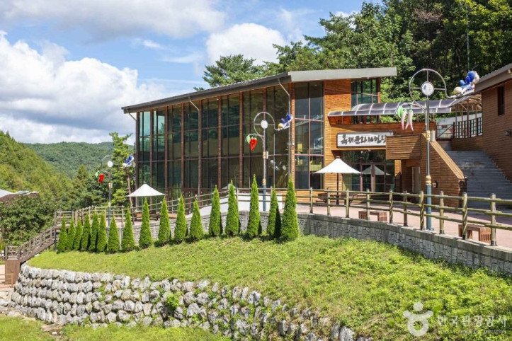흥림산자연휴양림 (영양에코둥지) 여행 추천 - 메고지고