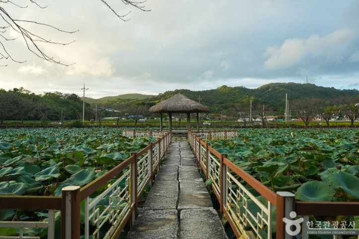 골정 저수지 여행 추천 - 메고지고