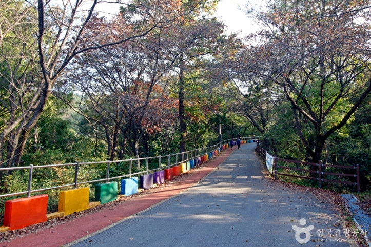 보문산 여행 추천 - 메고지고