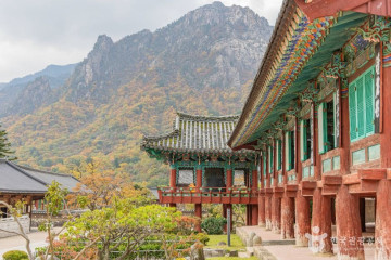 설악산 케이블카 여행 추천 - 메고지고