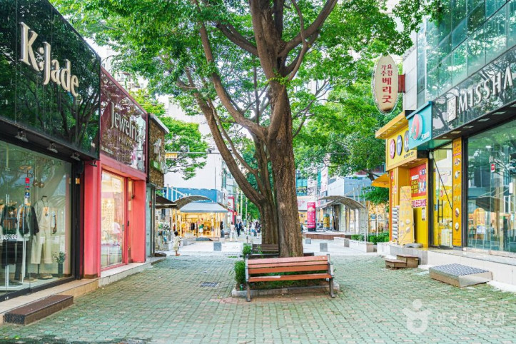 장미의거리 여행 추천 - 메고지고