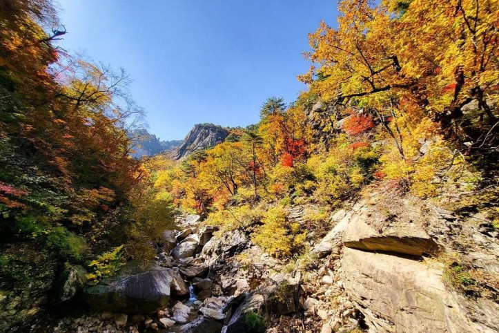 설악산 흘림골 여행 추천 - 메고지고