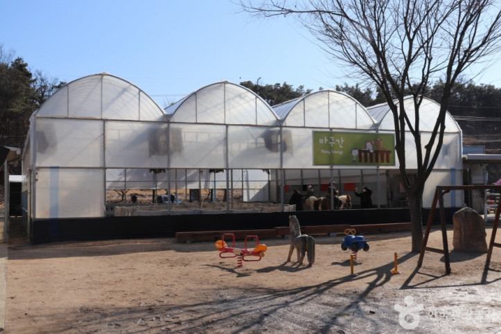 포니힐링관광농원 여행 추천 - 메고지고