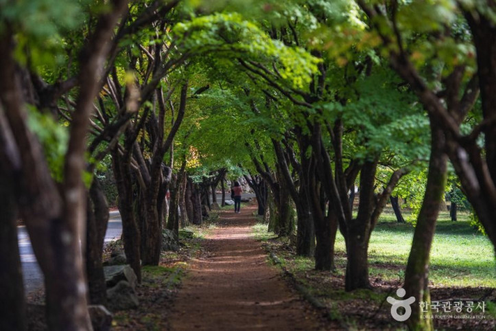 내장산국립공원 여행 추천 - 메고지고