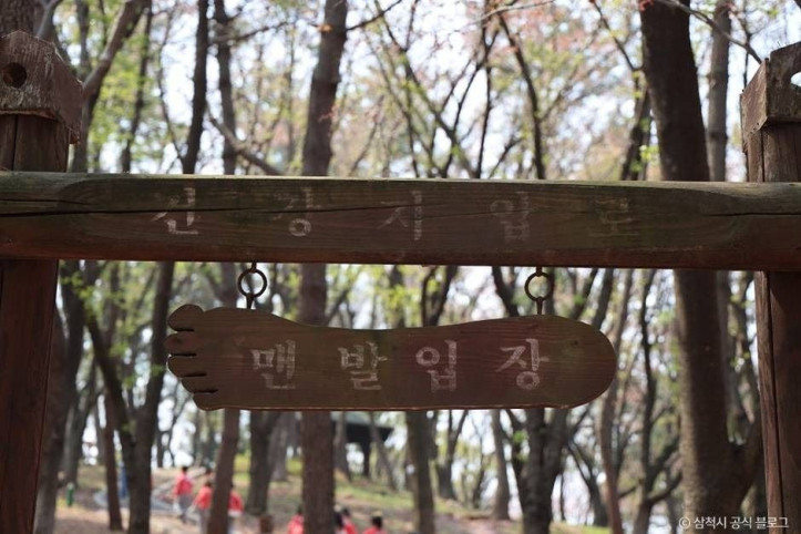 봉황산산림욕장 여행 추천 - 메고지고