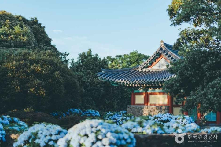 혼인지 여행 추천 - 메고지고