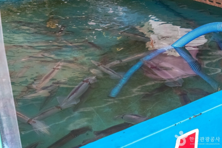동명항오징어난전 여행 추천 - 메고지고