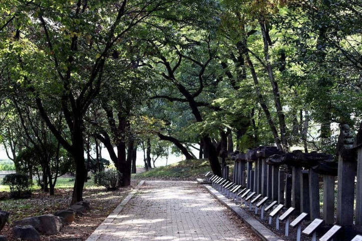 자인계정숲(경산 자인의계정숲) 여행 추천 - 메고지고