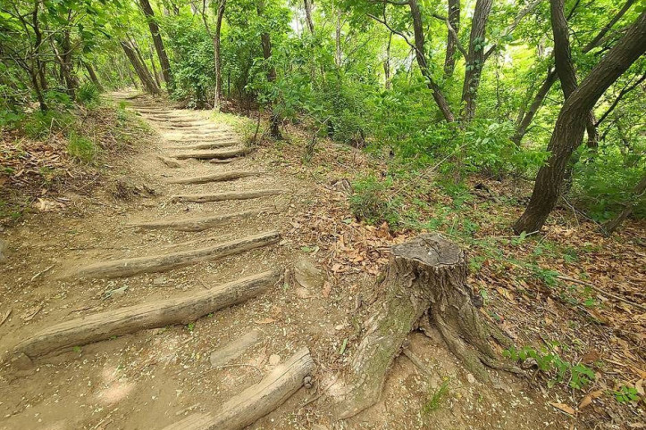 구룡산(서울) 여행 추천 - 메고지고