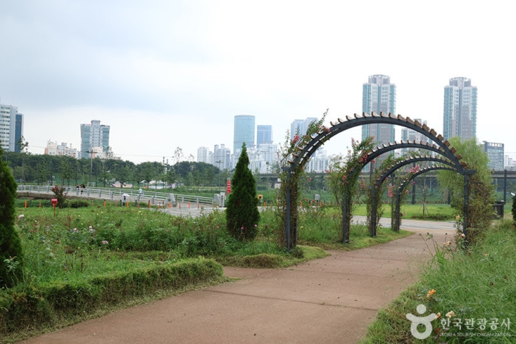 안양천가족정원 여행 추천 - 메고지고