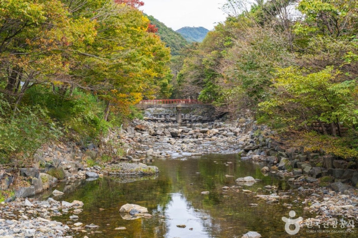 심연동계곡 여행 추천 - 메고지고