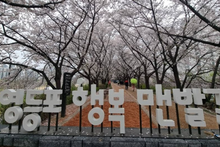 [서울둘레길 14코스] 안양천 하류코스 여행 추천 - 메고지고