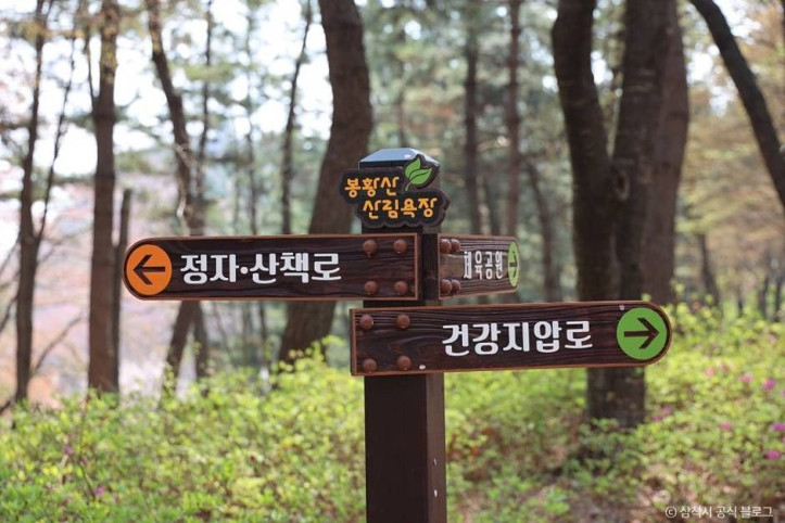 봉황산산림욕장 여행 추천 - 메고지고