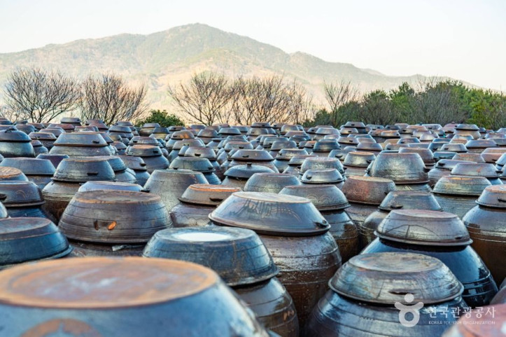 홍쌍리 청매실농원 여행 추천 - 메고지고