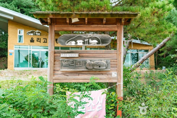 단호박올리고마을 여행 추천 - 메고지고