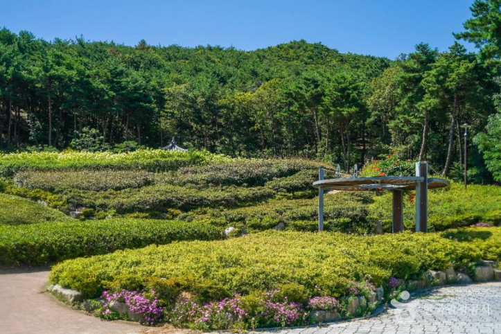 운제산산림욕장 여행 추천 - 메고지고