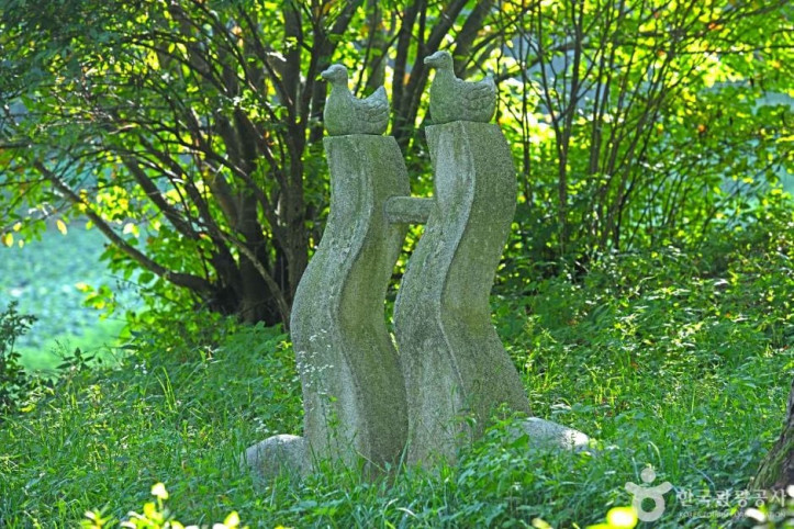 잣나무 연리지 여행 추천 - 메고지고