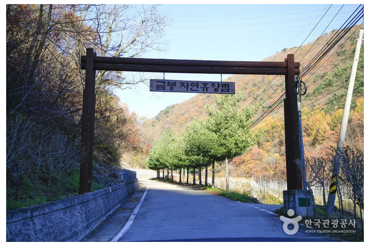금봉자연휴양림 여행 추천 - 메고지고