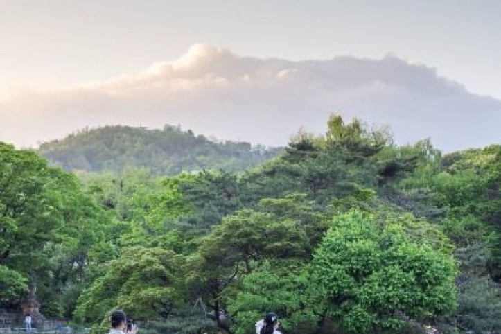 창경궁 여행 추천 - 메고지고