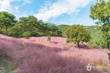 두암초당 여행 추천 - 메고지고