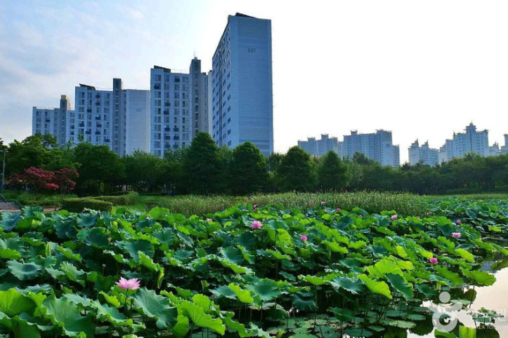 천왕근린공원 여행 추천 - 메고지고