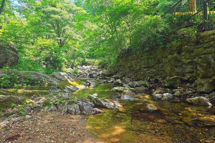 묘적사계곡 여행 추천 - 메고지고