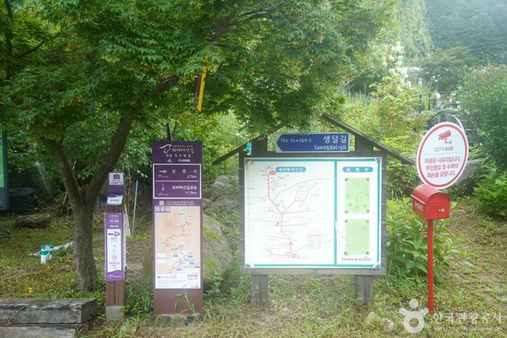 선달산(영월) 여행 추천 - 메고지고
