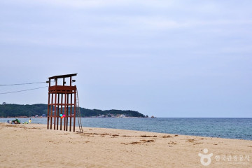 울진은어다리 여행 추천 - 메고지고