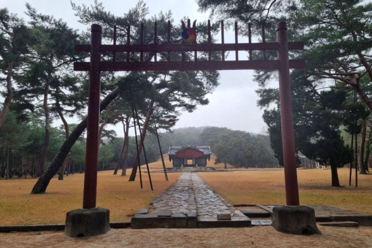 태릉강릉 여행 추천 - 메고지고