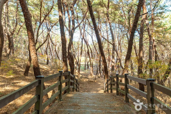 경주 헌강왕릉 여행 추천 - 메고지고