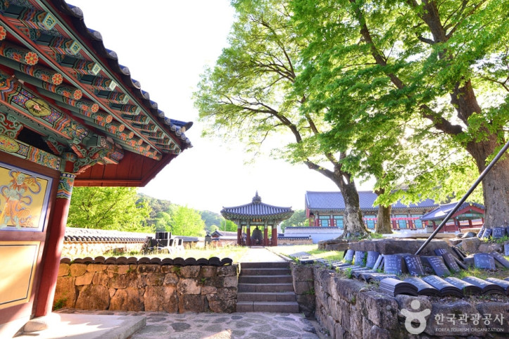 쌍봉사(화순) 여행 추천 - 메고지고