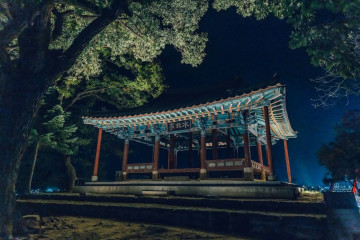 자온대 여행 추천 - 메고지고