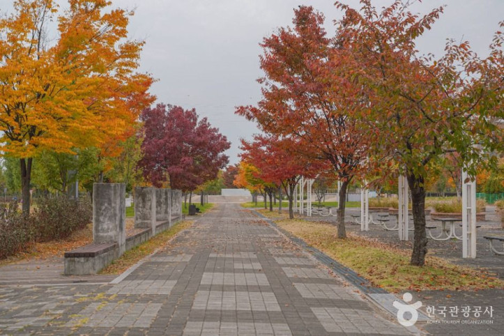 난지한강공원 여행 추천 - 메고지고