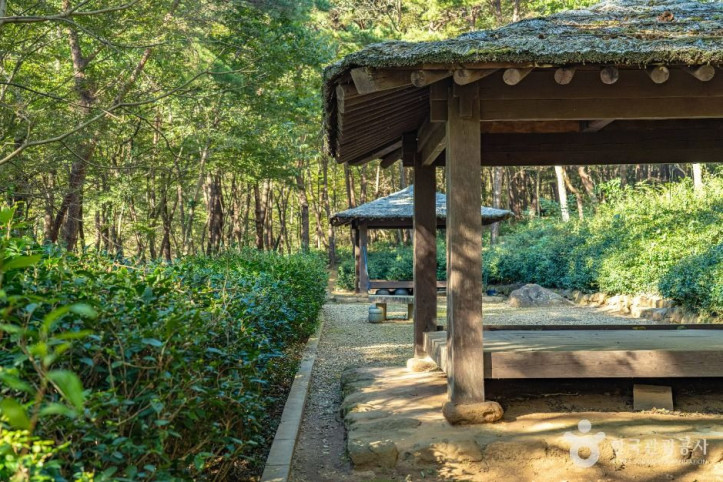 구례장죽전녹차시배지 여행 추천 - 메고지고