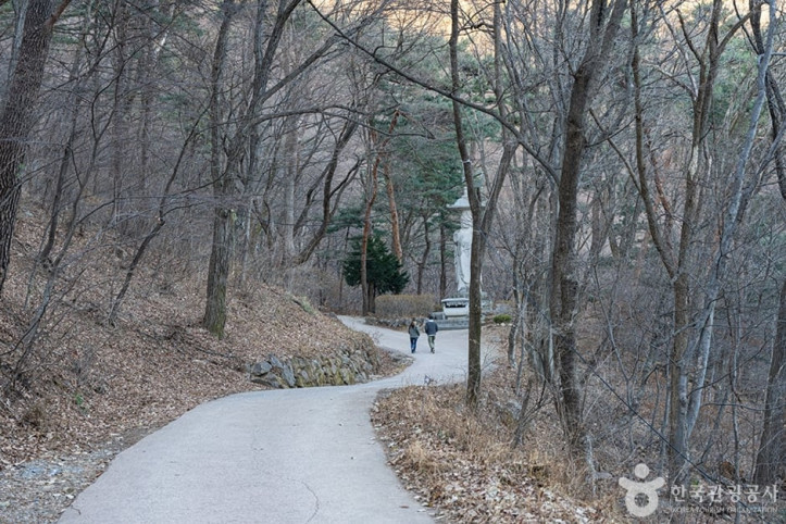 운길산 여행 추천 - 메고지고