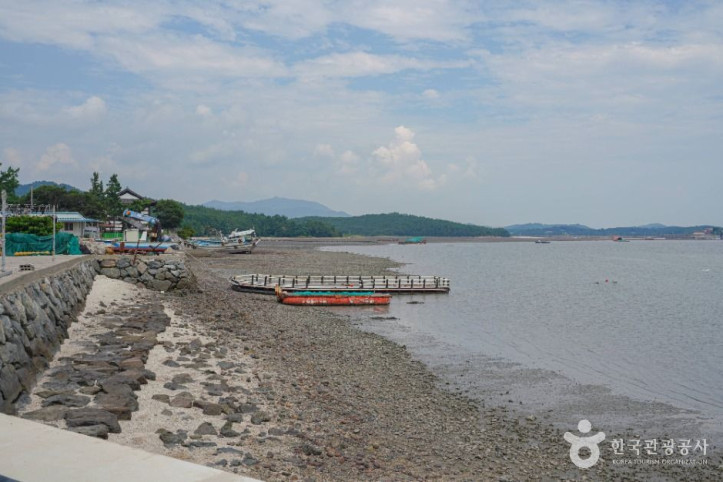 고흥 신기거북이마을 여행 추천 - 메고지고